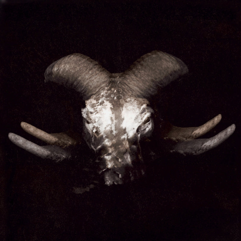Life Resignation Notice cover art — a horned ram skull, pale against black